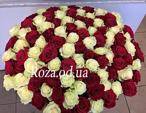 101 роза