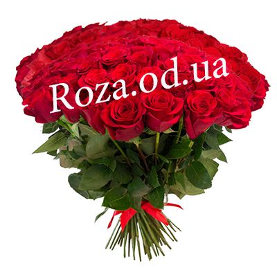 101 roses Odessa 