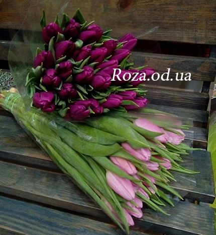Букет тюльпанов Одесса