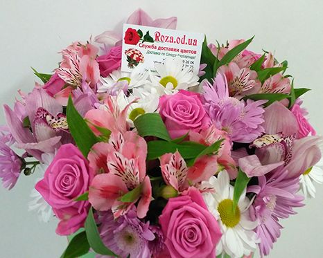  What to give for February 14 in Odessa 
