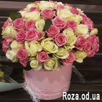 101 white and pink rose in box - Photo 1