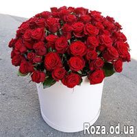 101 красная роза в коробке - Фото 1