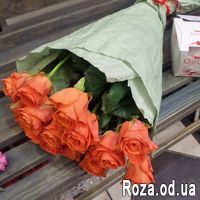 15 оранжевых роз - Фото 2