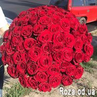 51 червона троянда 50 см - Фото 1