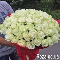 75 белых роз 70 см - Фото 1