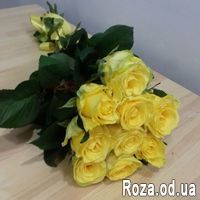 9 желтых роз - Фото 1