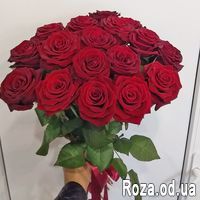 Букет из 17 красных роз - Фото 1