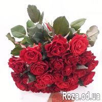 Букет из 21 красной розы - Фото 2