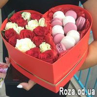Box Macarons - Photo 3