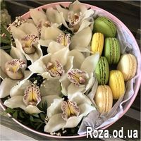 Ніжні орхідеї і макаруни - Фото 1