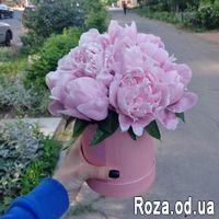 Півонії в коробці - Фото 1
