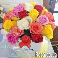 Roses in a Hat Box - Photo 1