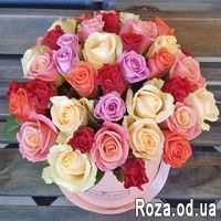 Roses in a Hat Box - Photo 2