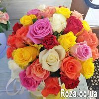 Roses in a Hat Box - Photo 3