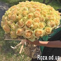 101 кремовая роза 60 см - Фото 1