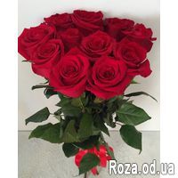 11 импортных красных роз - Фото 3