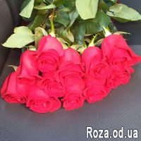 11 импортных красных роз - Фото 4