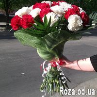 25 бело-красных гвоздик - Фото 1