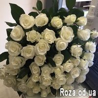 51 белая роза 60 см - Фото 1