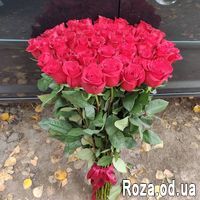 51 импортная роза 1 м. - Фото 2
