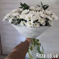 Букет из 13 хризантем - Фото 1