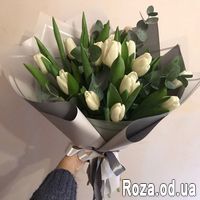 15 тюльпанов - Фото 1
