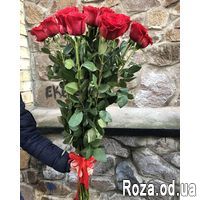 21 импортная красная роза - Фото 1