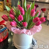 25 тюльпанов в коробке - Фото 1