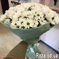 Букет 17 ромашковых хризантем - Фото 1