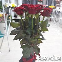 Букет из 11 красных роз 70 см - Фото 1