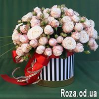 Нежный комплимент - Фото 1