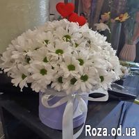 Ромашковая любовь - Фото 1