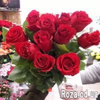 11 импортных красных роз - Фото 6