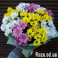 Букет хризантем - Фото 2