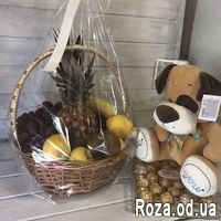 Фрукты, собачка, конфеты - Фото 1
