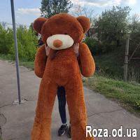 Коричневый мишка 2 м - Фото 1