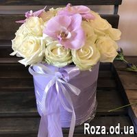 Нежная мелодия - Фото 2