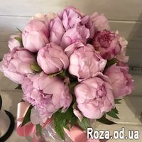 Шикарные пионы в коробке - Фото 2