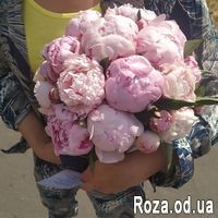 Шикарные пионы в коробке - Фото 3