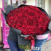 501 красная роза 70 см - Фото 1