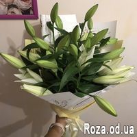 Букет из 5 лилий - Фото 1