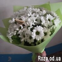 Букет из 7 ромашек - Фото 4
