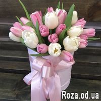 Великолепное утро - Фото 1