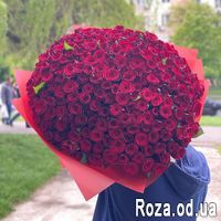 Букет из 201 розы 70 см - Фото 1