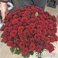 101 красная роза 70 см - Фото 1