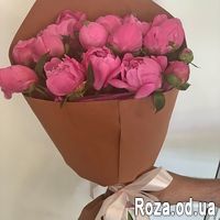 15 бордовых пионов - Фото 1