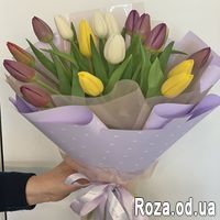 15 tulips - Photo 3