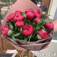 17 бордовых пионов - Фото 1