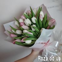19 tulips - Photo 1