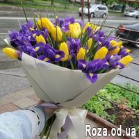 51 ирис и тюльпан - Фото 1